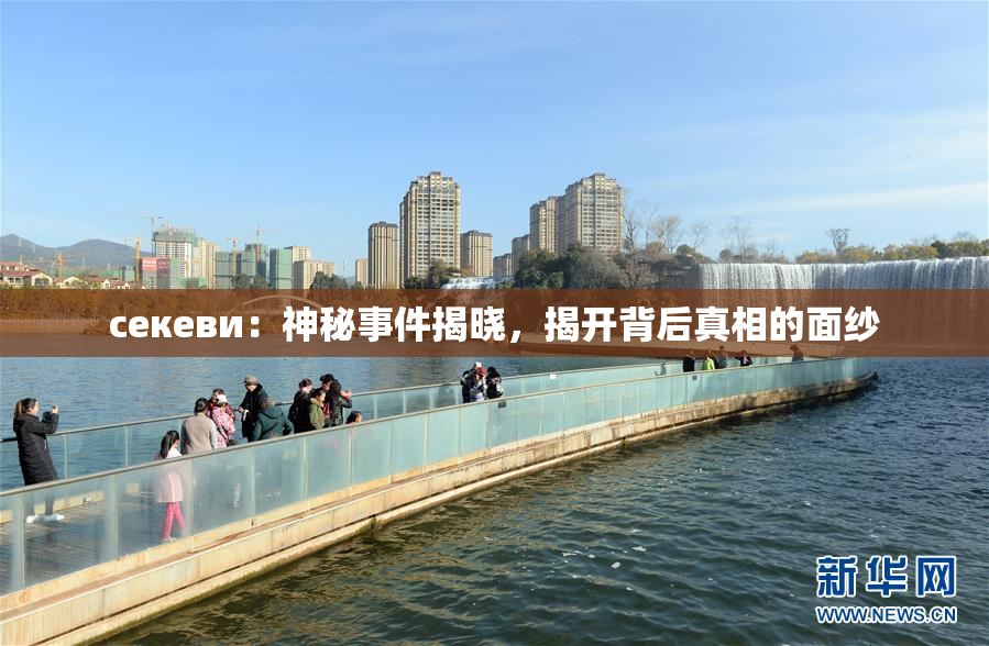 ceкеви：神秘事件揭晓，揭开背后真相的面纱