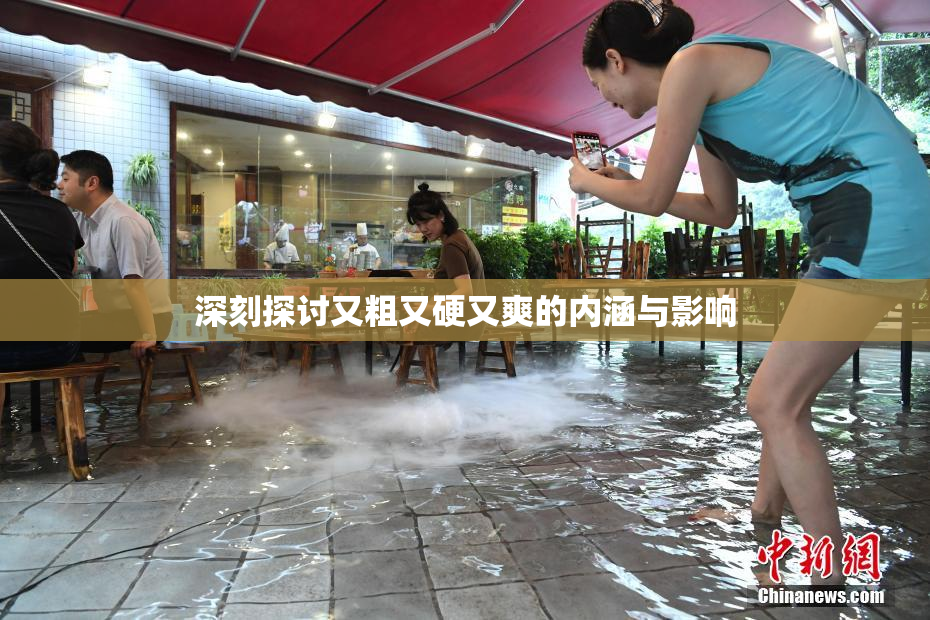 深刻探讨又粗又硬又爽的内涵与影响