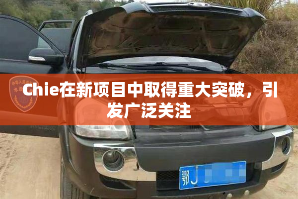 Chie在新项目中取得重大突破，引发广泛关注