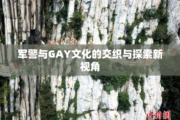 军警与GAY文化的交织与探索新视角
