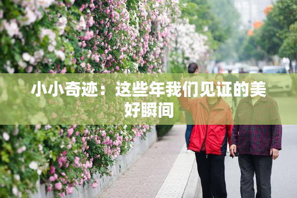 小小奇迹：这些年我们见证的美好瞬间