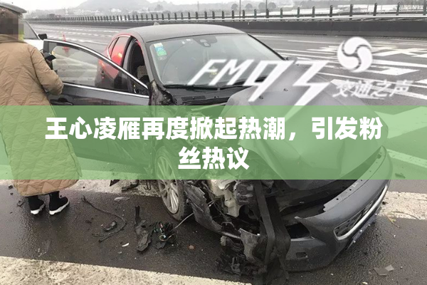王心凌雁再度掀起热潮，引发粉丝热议