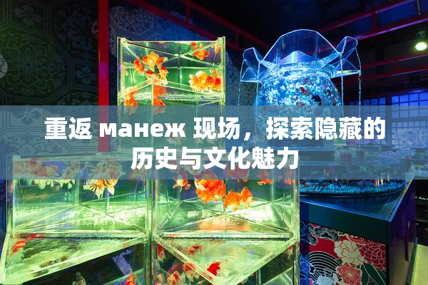 重返 манеж 现场，探索隐藏的历史与文化魅力