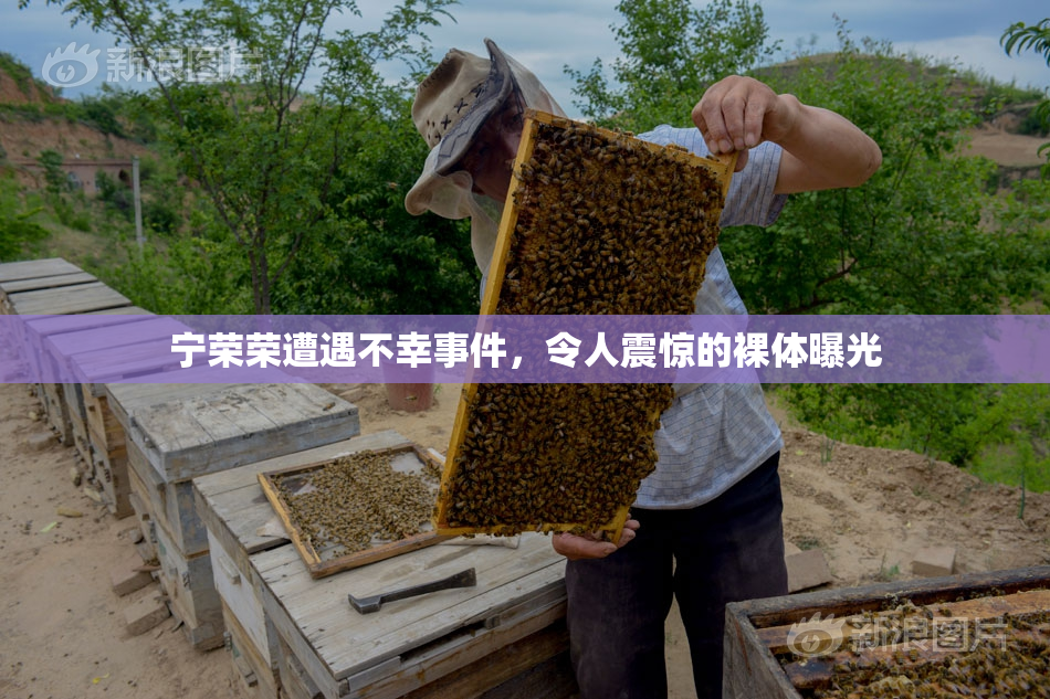 宁荣荣遭遇不幸事件，令人震惊的裸体曝光