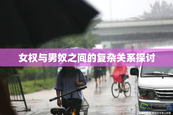 女权与男奴之间的复杂关系探讨