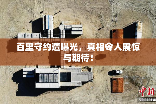 百里守约遭曝光，真相令人震惊与期待！