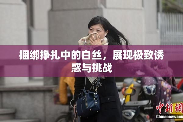 捆绑挣扎中的白丝，展现极致诱惑与挑战