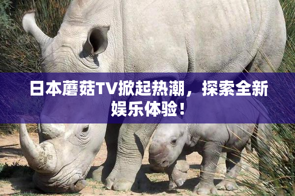 日本蘑菇TV掀起热潮，探索全新娱乐体验！