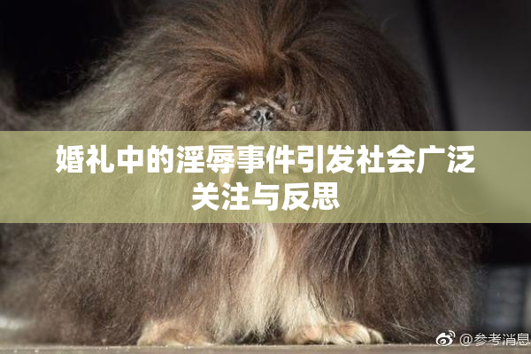 婚礼中的淫辱事件引发社会广泛关注与反思