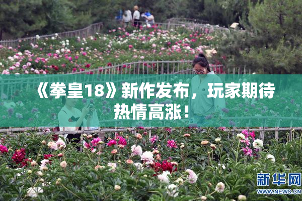 《拳皇18》新作发布，玩家期待热情高涨！