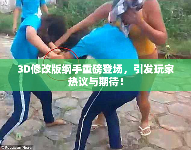 3D修改版纲手重磅登场，引发玩家热议与期待！