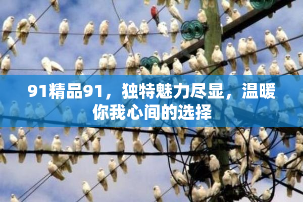91精品91，独特魅力尽显，温暖你我心间的选择