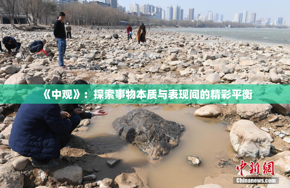 《中观》：探索事物本质与表现间的精彩平衡