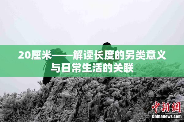20厘米——解读长度的另类意义与日常生活的关联