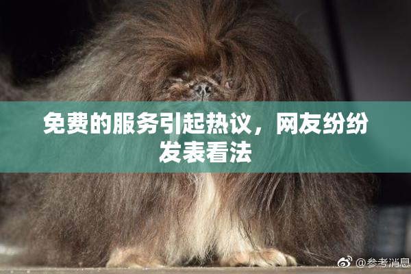 免费的服务引起热议，网友纷纷发表看法