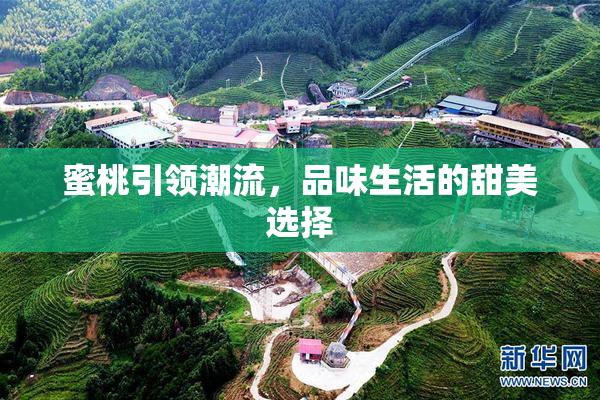 蜜桃引领潮流，品味生活的甜美选择