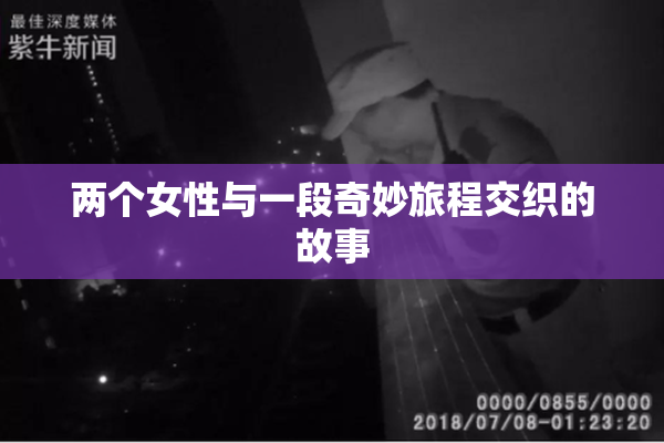 两个女性与一段奇妙旅程交织的故事