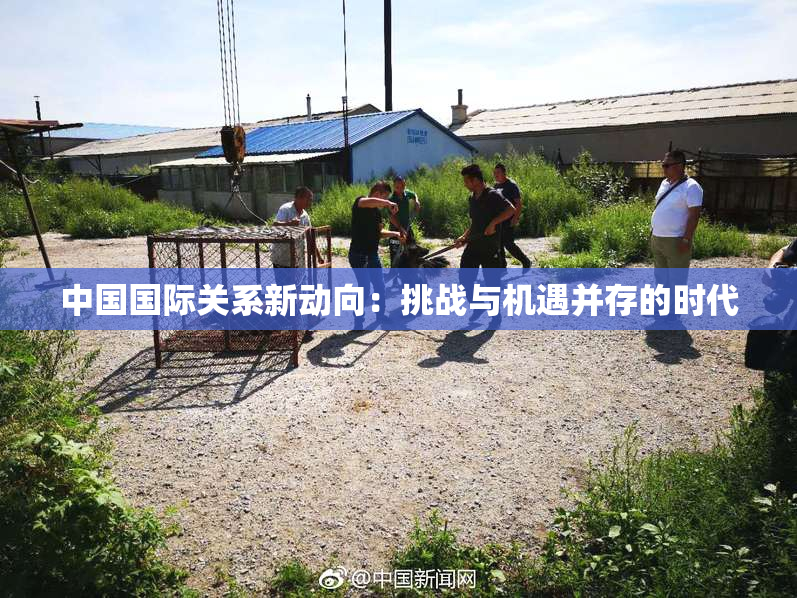 中国国际关系新动向：挑战与机遇并存的时代