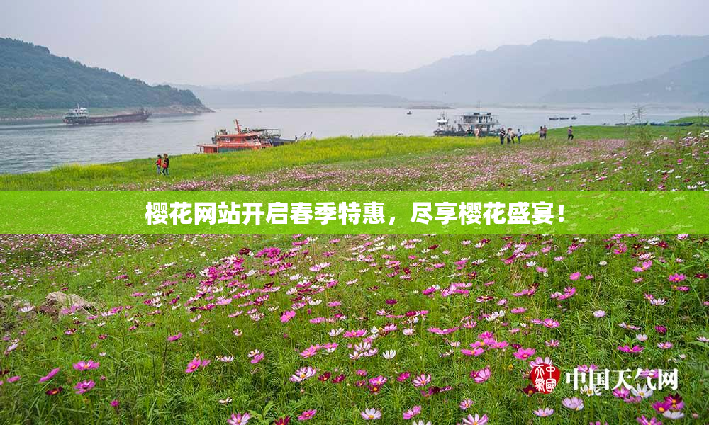 樱花网站开启春季特惠，尽享樱花盛宴！
