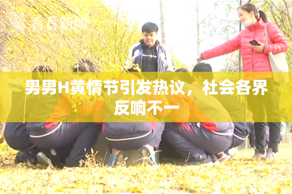 男男H黄情节引发热议，社会各界反响不一