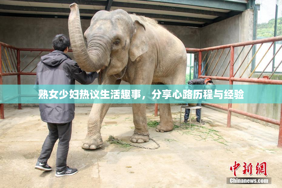 熟女少妇热议生活趣事，分享心路历程与经验