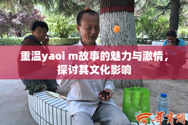 重温yaoi m故事的魅力与激情，探讨其文化影响