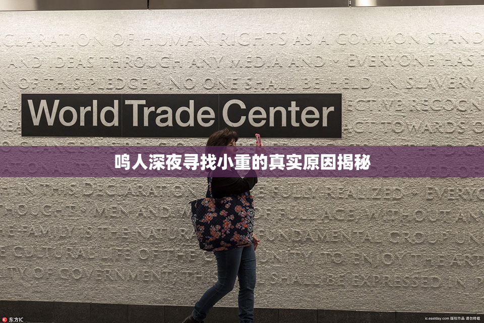 鸣人深夜寻找小重的真实原因揭秘