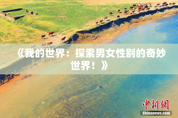 《我的世界：探索男女性别的奇妙世界！》