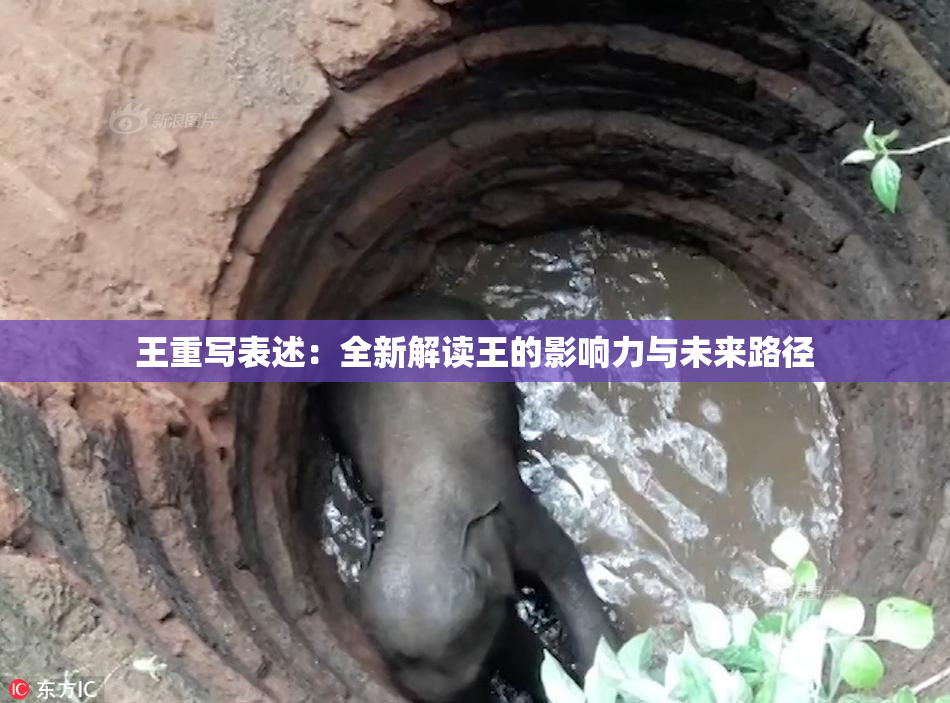 王重写表述：全新解读王的影响力与未来路径