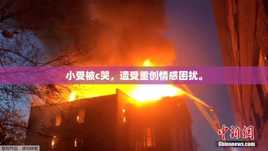 小受被c哭，遭受重创情感困扰。