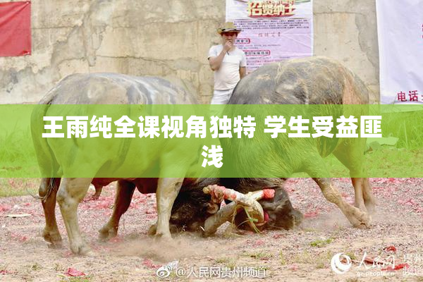 王雨纯全课视角独特 学生受益匪浅