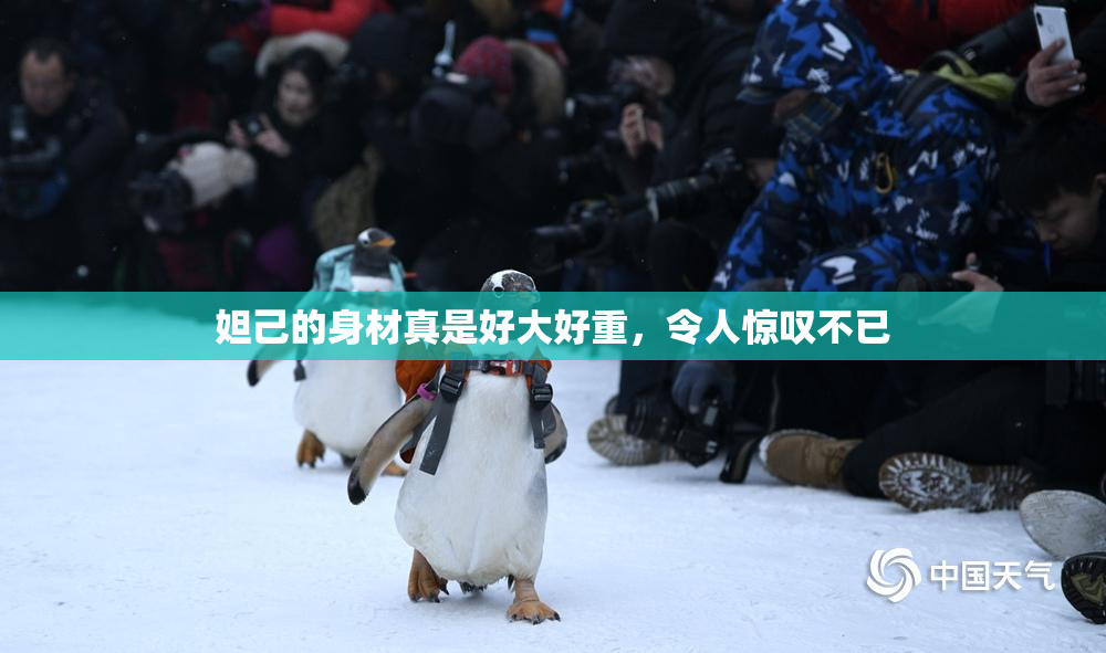 妲己的身材真是好大好重，令人惊叹不已