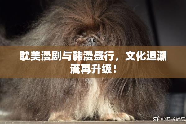 耽美漫剧与韩漫盛行，文化追潮流再升级！