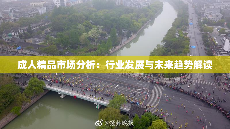 成人精品市场分析：行业发展与未来趋势解读