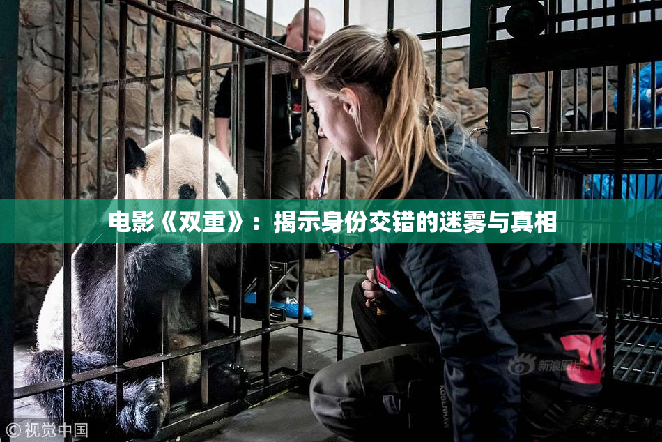 电影《双重》：揭示身份交错的迷雾与真相