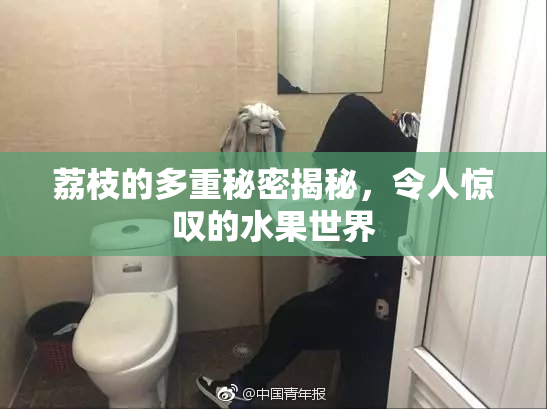 荔枝的多重秘密揭秘，令人惊叹的水果世界