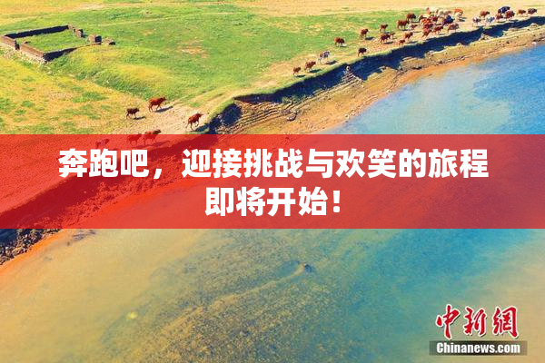 奔跑吧，迎接挑战与欢笑的旅程即将开始！