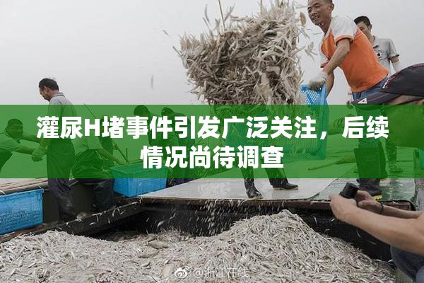 灌尿H堵事件引发广泛关注，后续情况尚待调查