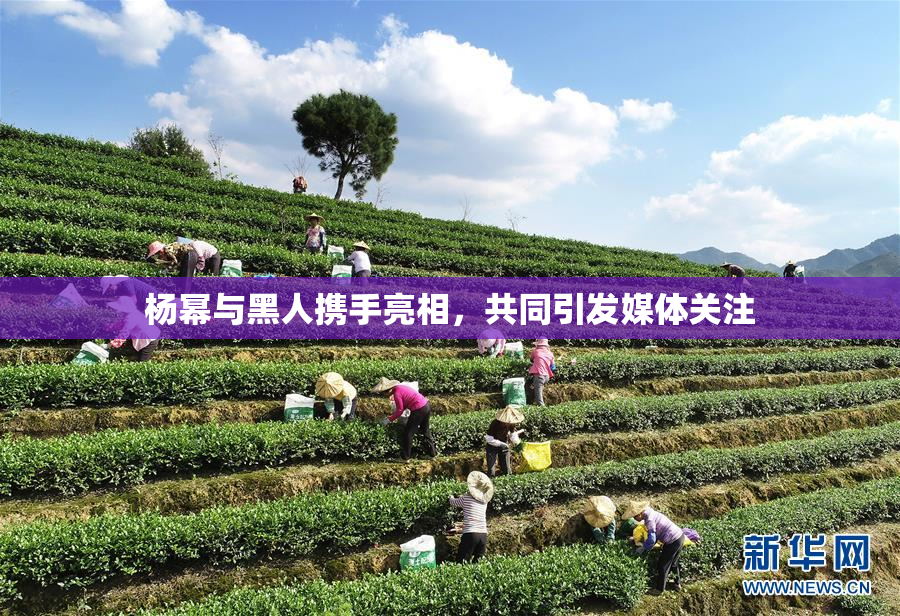 杨幂与黑人携手亮相，共同引发媒体关注