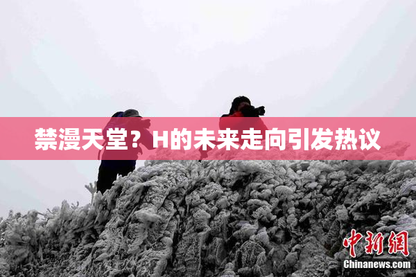 禁漫天堂？H的未来走向引发热议