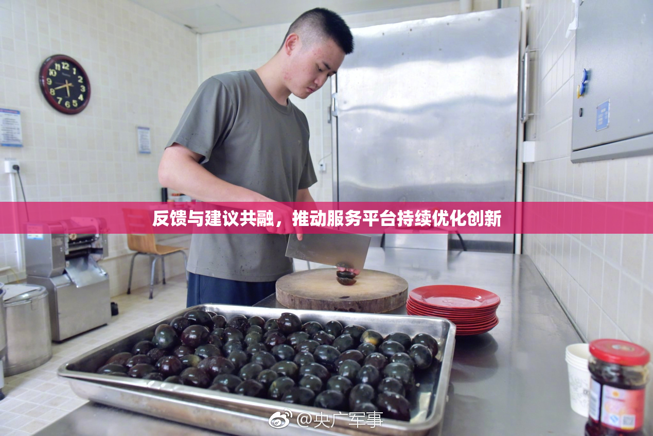 反馈与建议共融，推动服务平台持续优化创新