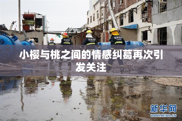 小樱与桃之间的情感纠葛再次引发关注