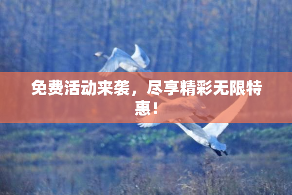 免费活动来袭，尽享精彩无限特惠！