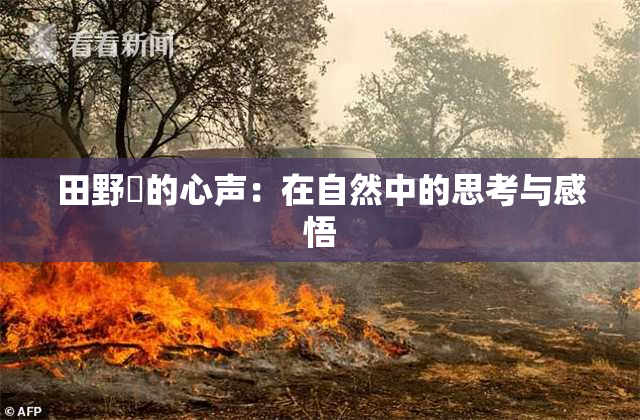 田野憂的心声：在自然中的思考与感悟