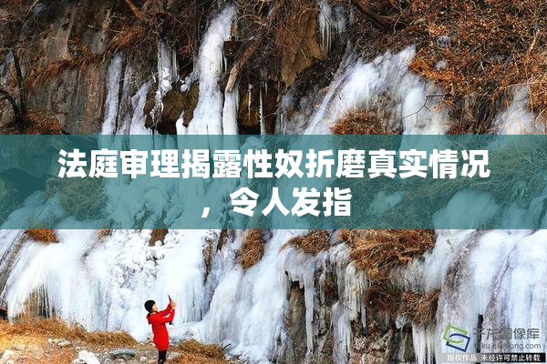 法庭审理揭露性奴折磨真实情况，令人发指