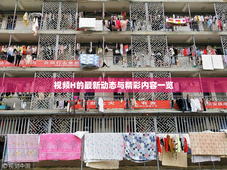 视频H的最新动态与精彩内容一览