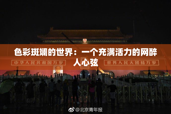 色彩斑斓的世界：一个充满活力的网醉人心弦
