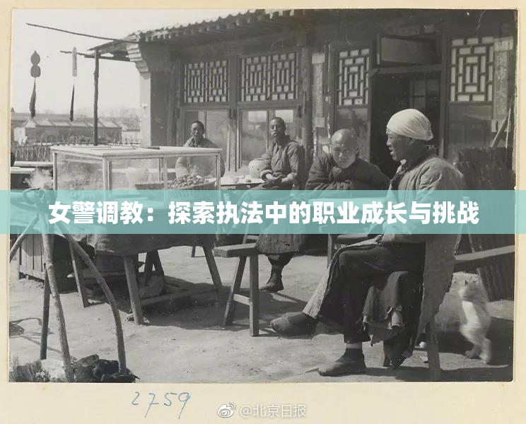 女警调教：探索执法中的职业成长与挑战