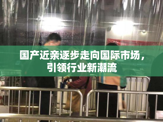 国产近亲逐步走向国际市场，引领行业新潮流