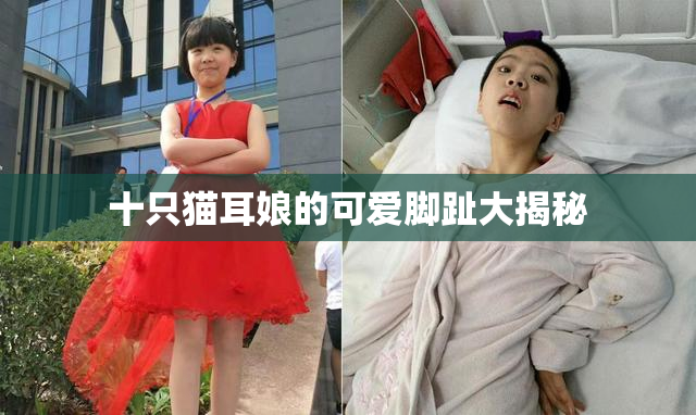 十只猫耳娘的可爱脚趾大揭秘